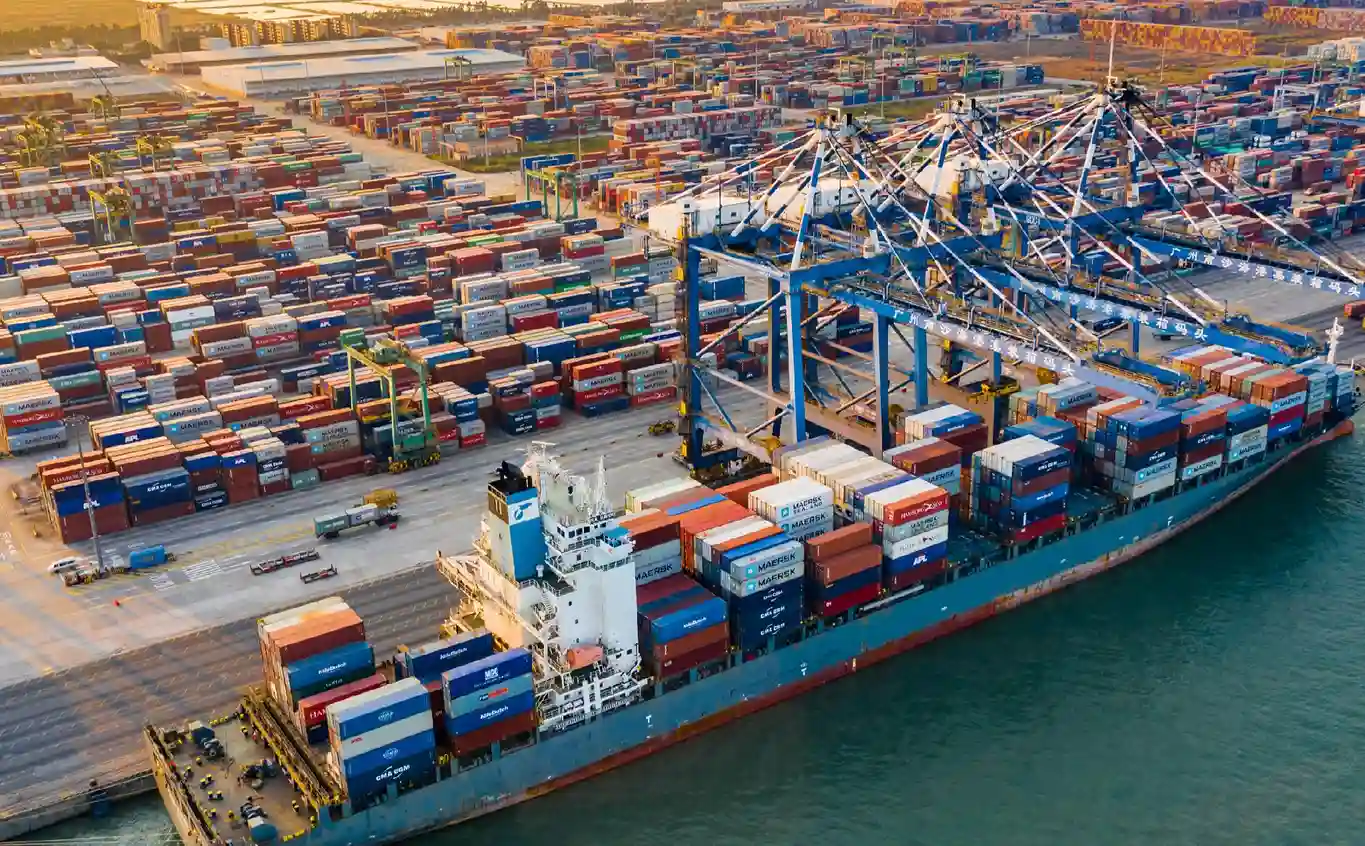 Our Delivery Process-Customs