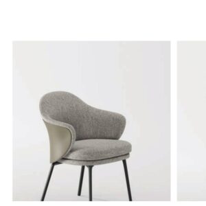 DC-1004 dining chair product image
